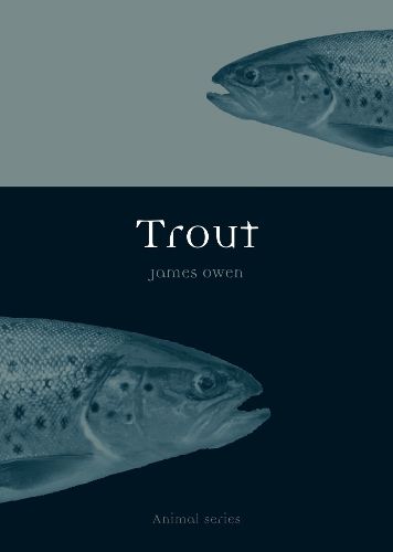 Cover image for Trout