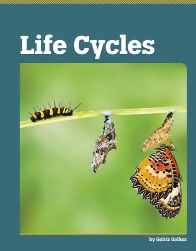 Cover image for Life Cycles