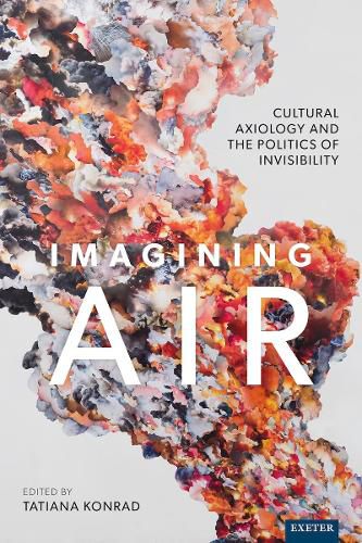 Cover image for Imagining Air