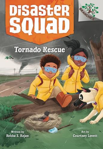 Cover image for Tornado Rescue: A Branches Book (Disaster Squad #4)