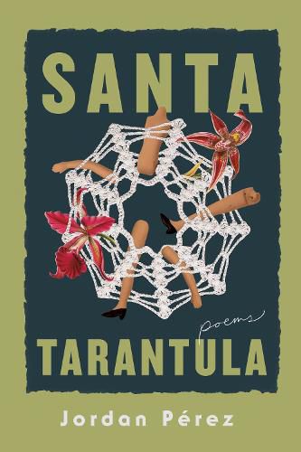 Cover image for Santa Tarantula