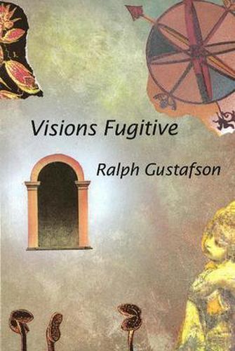 Cover image for Visions Fugitive