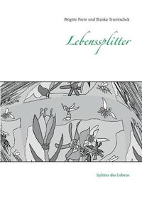 Cover image for Lebenssplitter: Splitter des Lebens