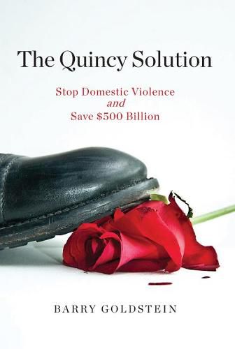 Cover image for The Quincy Solution