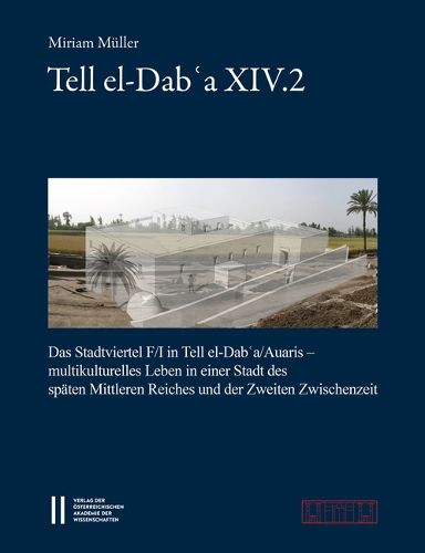 Cover image for Tell El-Dab'a XIV.2