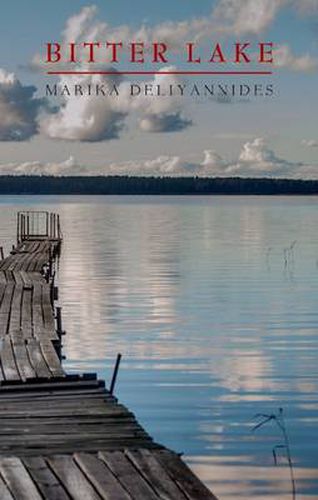 Cover image for Bitter Lake: A Novel