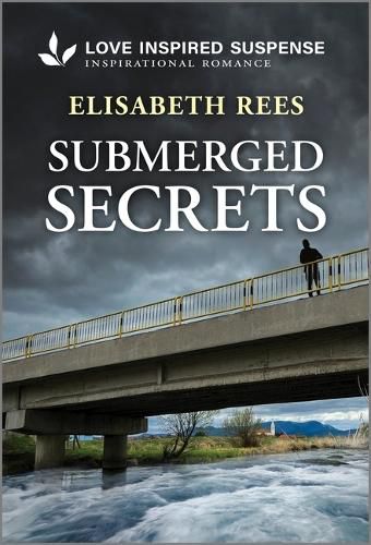 Cover image for Submerged Secrets