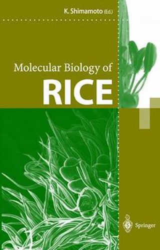Cover image for Molecular Biology of Rice