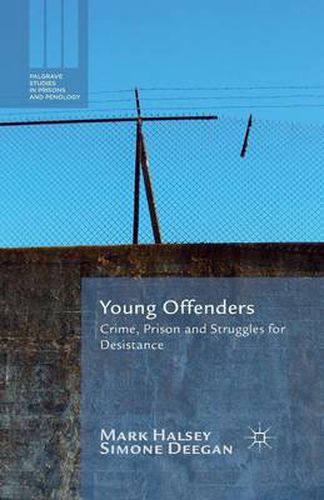 Cover image for Young Offenders: Crime, Prison and Struggles for Desistance