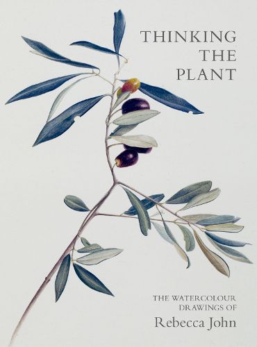 Cover image for Thinking the Plant: The Watercolour Drawings of Rebecca John