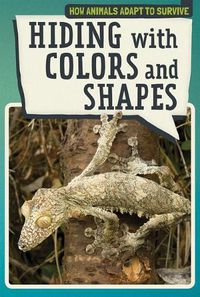 Cover image for Hiding with Colors and Shapes