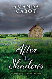 Cover image for After the Shadows