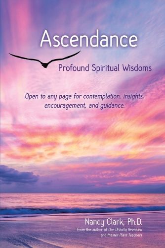 Cover image for Ascendance