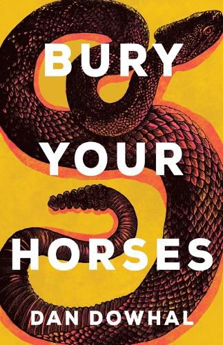 Cover image for Bury Your Horses