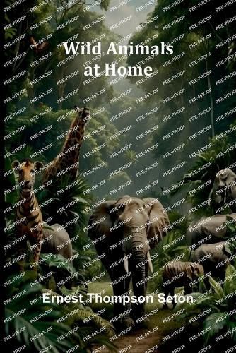 Cover image for Waiting for Daylight (Edition1)