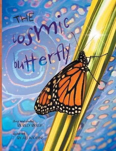 The Cosmic Butterfly