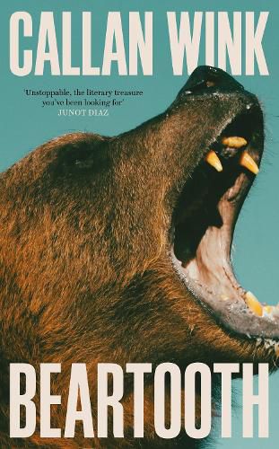 Cover image for Beartooth