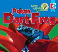 Cover image for Animals of the Amazon Rainforest: Poison Dart Frog