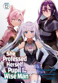 Cover image for She Professed Herself Pupil of the Wise Man (Manga) Vol. 12