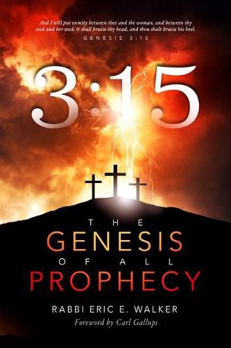 Cover image for 315: The Genesis of All Prophecy