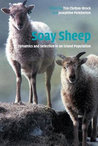 Cover image for Soay Sheep: Dynamics and Selection in an Island Population