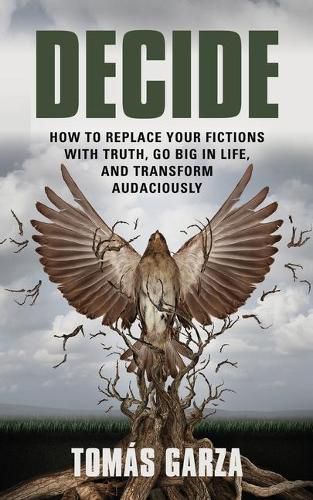 Cover image for Decide: How to Replace Your Fictions with Truth, Go Big in Life, and Transform Audaciously