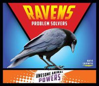 Cover image for Ravens: Problem Solvers