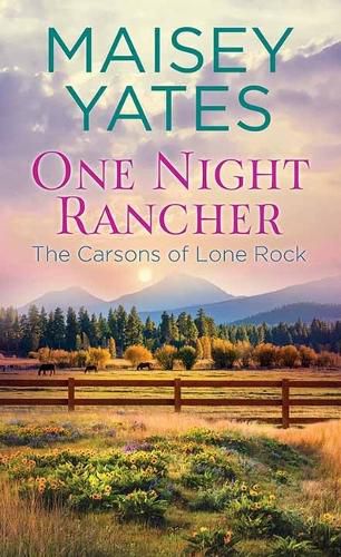 Cover image for One Night Rancher