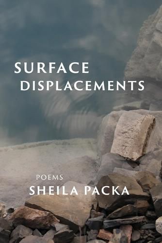 Cover image for Surface Displacements
