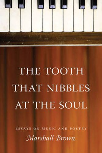 The Tooth That Nibbles at the Soul: Essays on Music and Poetry