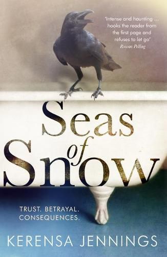 Cover image for Seas of Snow