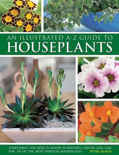 Cover image for An Illustrated A-Z Guide to Houseplants: Everything You Need to Know to Identify, Choose and Care for 350 of the Most Popular Houseplants