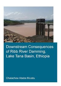 Cover image for Downstream Consequences of Ribb River Damming, Lake Tana Basin, Ethiopia