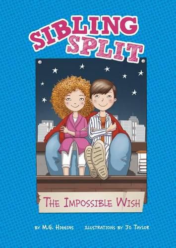 Cover image for The Impossible Wish