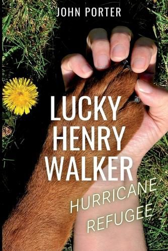 Cover image for Lucky Henry Walker