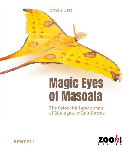 Cover image for Magic Eyes of Masoala