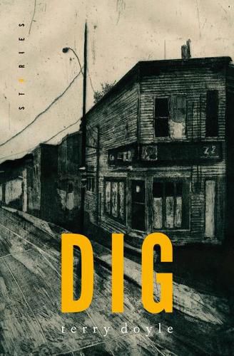 Cover image for Dig