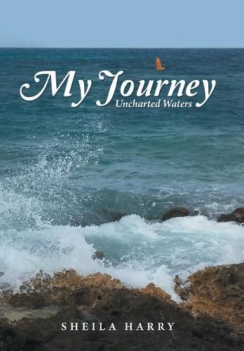 Cover image for My Journey: Uncharted Waters