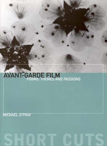 Avant-Garde Film - Forms, Themes and Passions