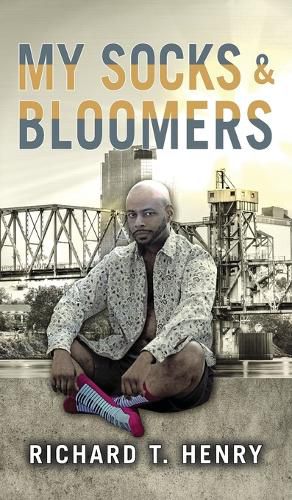 Cover image for Socks and Bloomers