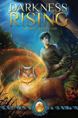 Cover image for Darkness Rising: Book One of The Catmage Chronicles