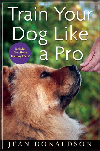 Cover image for Train Your Dog Like a Pro