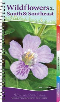 Cover image for Wildflowers of the South & Southeast: Your Way to Easily Identify Wildflowers