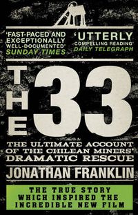 Cover image for The 33