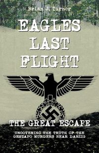 Cover image for Eagles Last Flight