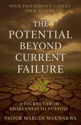 Cover image for The Potential Beyond Current Failure