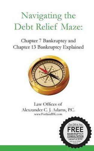 Cover image for Navigating the Debt Relief Maze: Chapter 7 Bankruptcy and Chapter 13 Bankruptcy