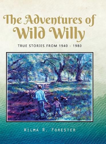 Cover image for The Adventures of Wild Willy