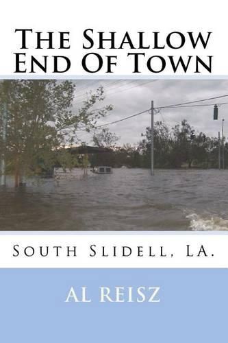 Cover image for The Shallow End Of Town