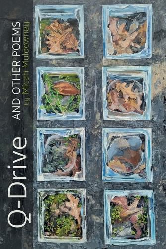 Cover image for Q-Drive and Other Poems